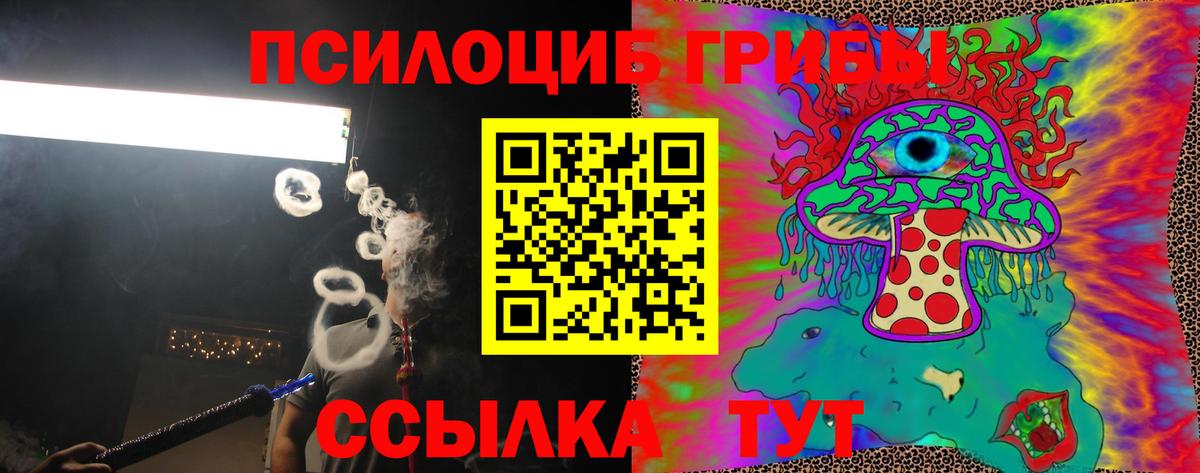 Галлюциногенные грибы Psilocybine cubensis  Галлюциногенные грибы мицелий  Мичуринск  Вход с VPN 